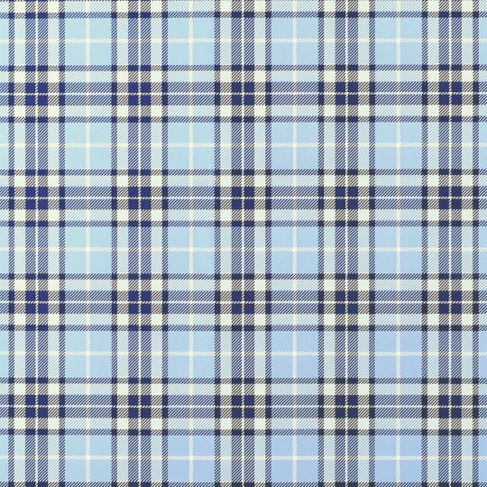 Blue Plaid Gift Wrap